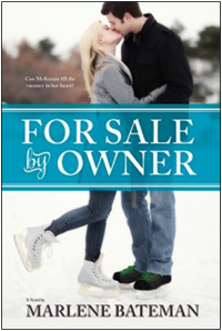 For Sale by Owner book cover
