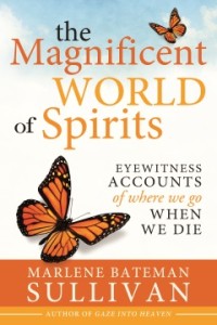 The Magnificent World of Spirits book cover