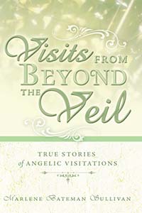 Visits from Beyond the Veil book cover
